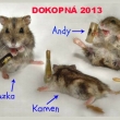 Jarn� dokopn� 2013 :-)